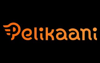 Pelikaani pikakasino arvostelu - rahapeleja.com